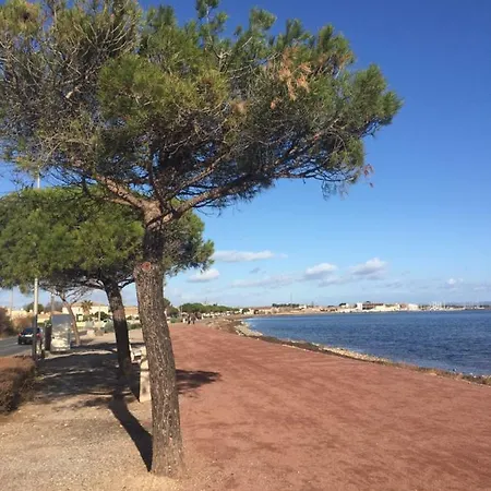 La Scribote * Marseillan (Herault)